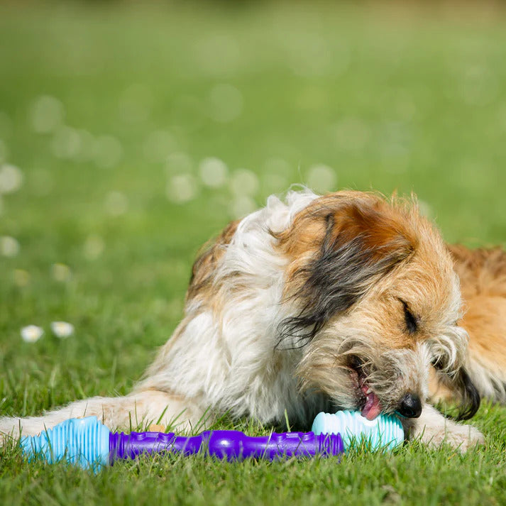 K9Connectables Dog Toys - The Dentist