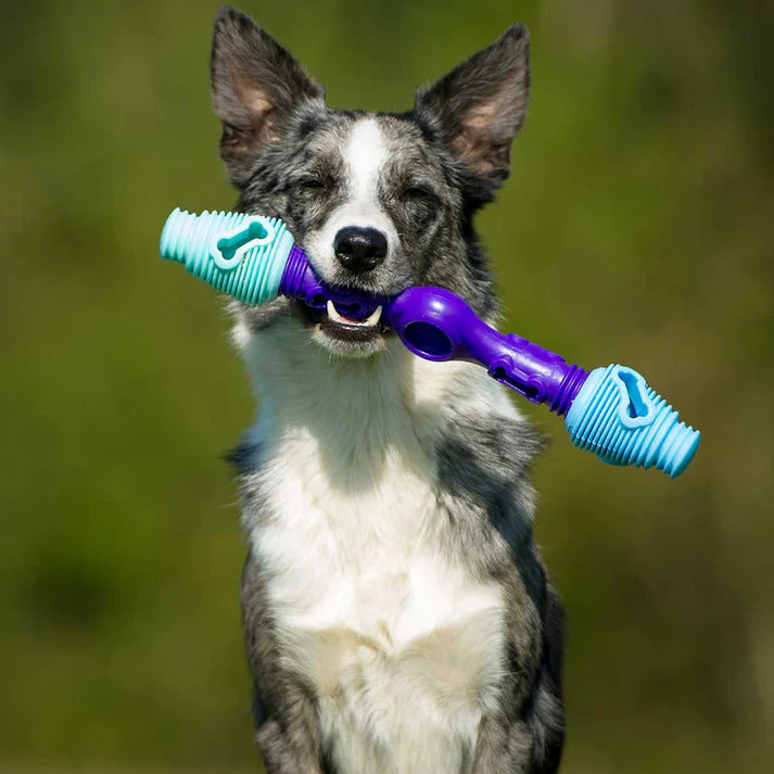 K9Connectables Dog Toys - The Dentist