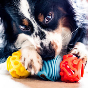 K9Connectables Dog Toys - The Dentist
