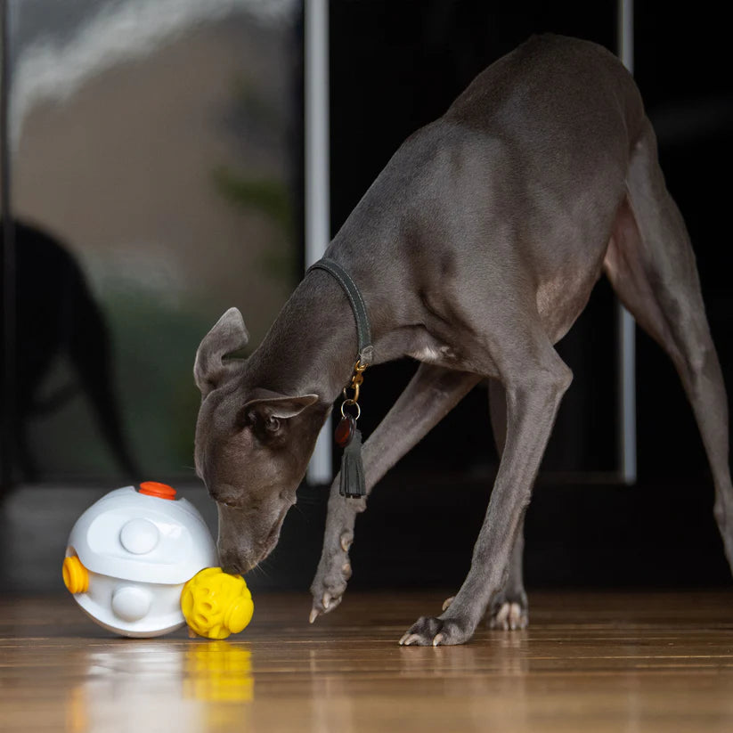 K9Connectables Dog Toys - Kibble Connector