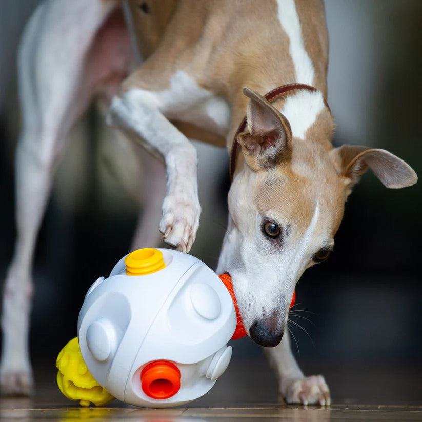 K9Connectables Dog Toys - Kibble Connector