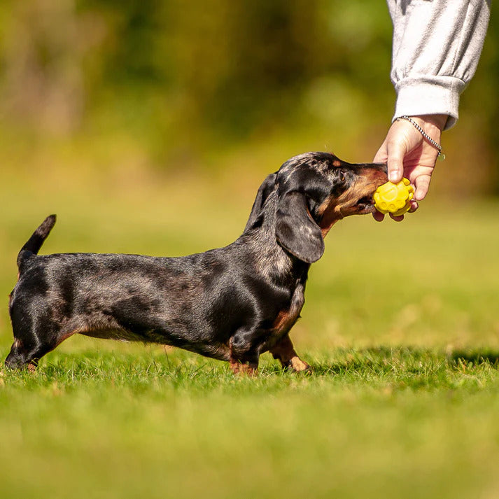 K9Connectables Dog Toys - The Original