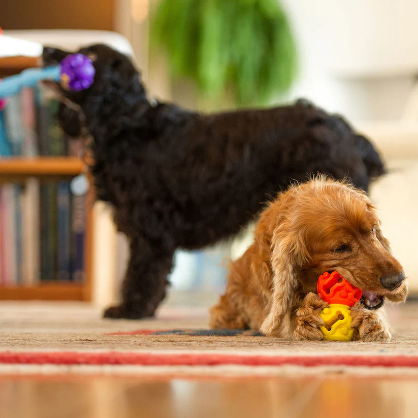 K9Connectables Dog Toys - The Original