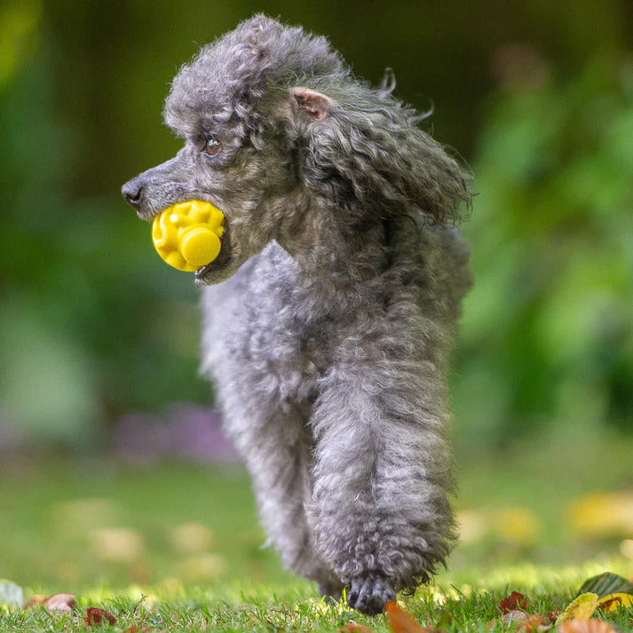 K9Connectables Dog Toys - The Original