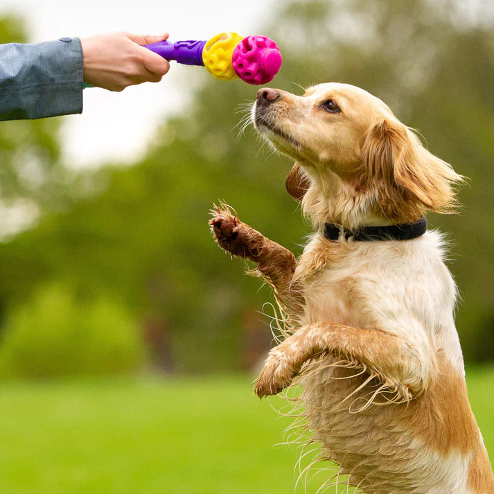 K9Connectables Dog Toys - The Original