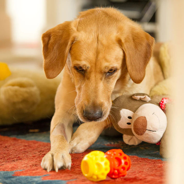 K9Connectables Dog Toys - The Original