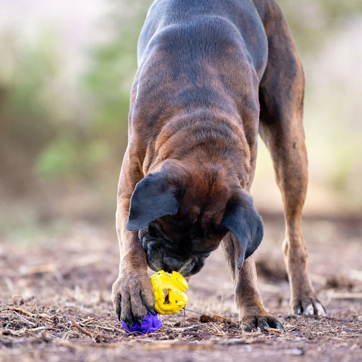 K9Connectables Dog Toys - The Original