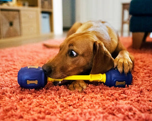 K9Connectables Puzzle Treats for Dogs