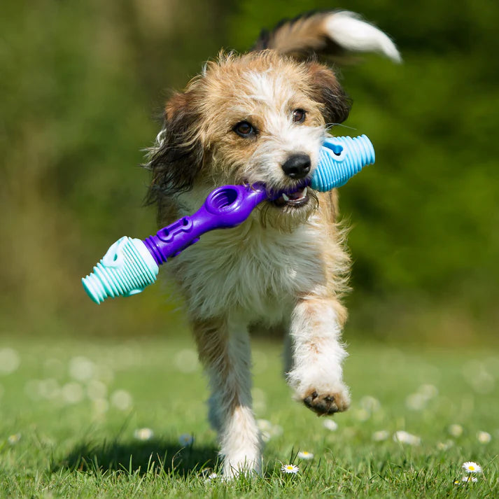 K9Connectables Dog Toys - Tech Bone