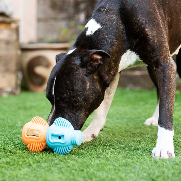 K9Connectables Dog Toys - Tuff Toothie
