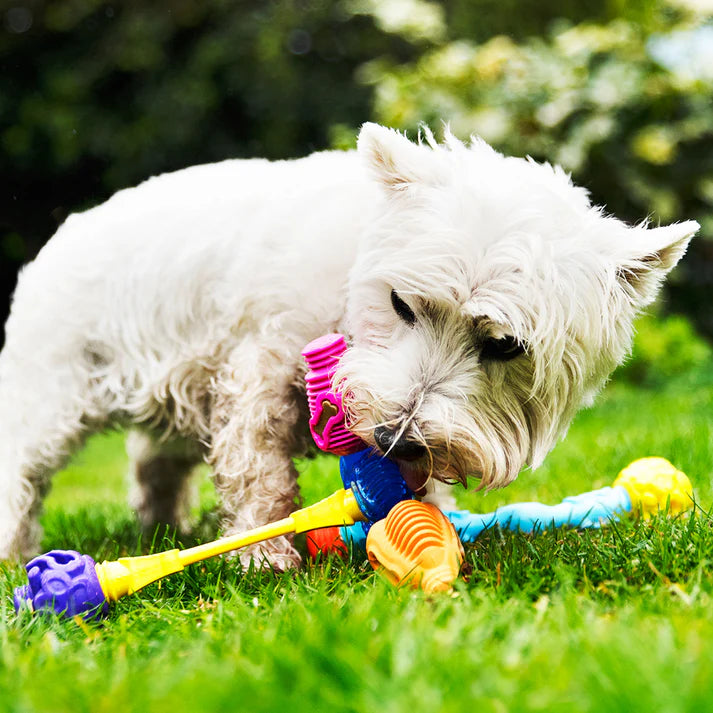 K9Connectables Dog Toys - Yes Bone