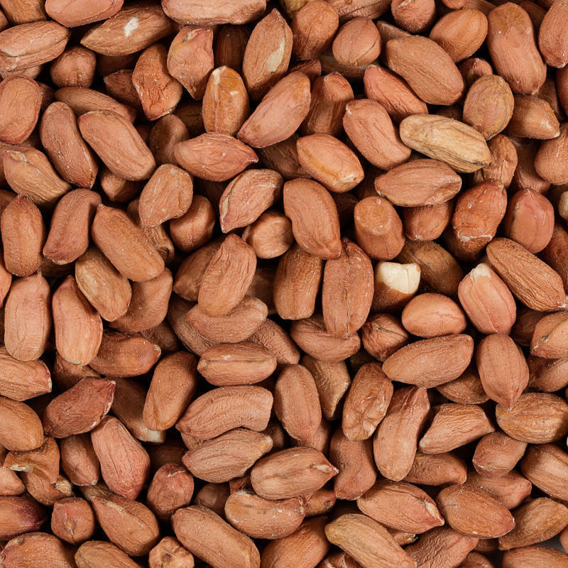 Favour Peanuts for Wild Birds