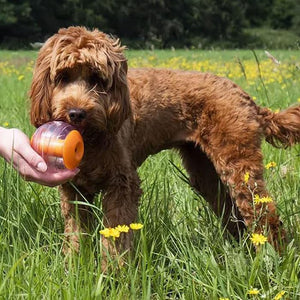 Rosewood Giggling Interactive Treat Dispensing Ball Dog Toy
