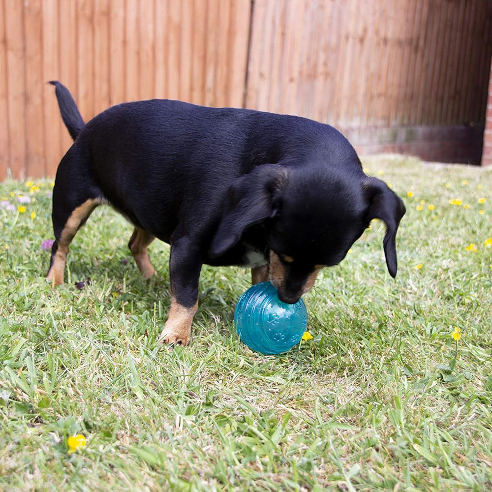 Rosewood BioSafe Ball Toy for Small Dogs