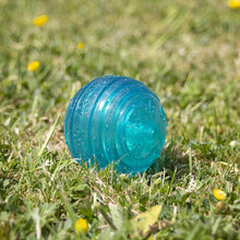 Load image into Gallery viewer, Rosewood BioSafe Ball Toy for Small Dogs
