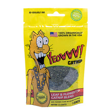 Load image into Gallery viewer, Yeowww Catnip Bags 1 oz

