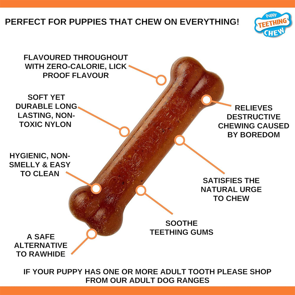 Nylabone Gentle Puppy Teething Chew Toy Bone, Chicken Flavour, Medium