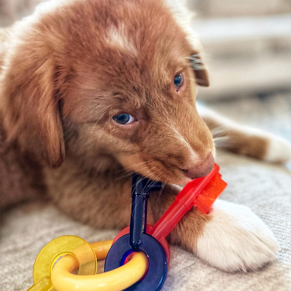 Nylabone Gentle Puppy Teething Chew Toy Keys, Bacon Flavour, Small