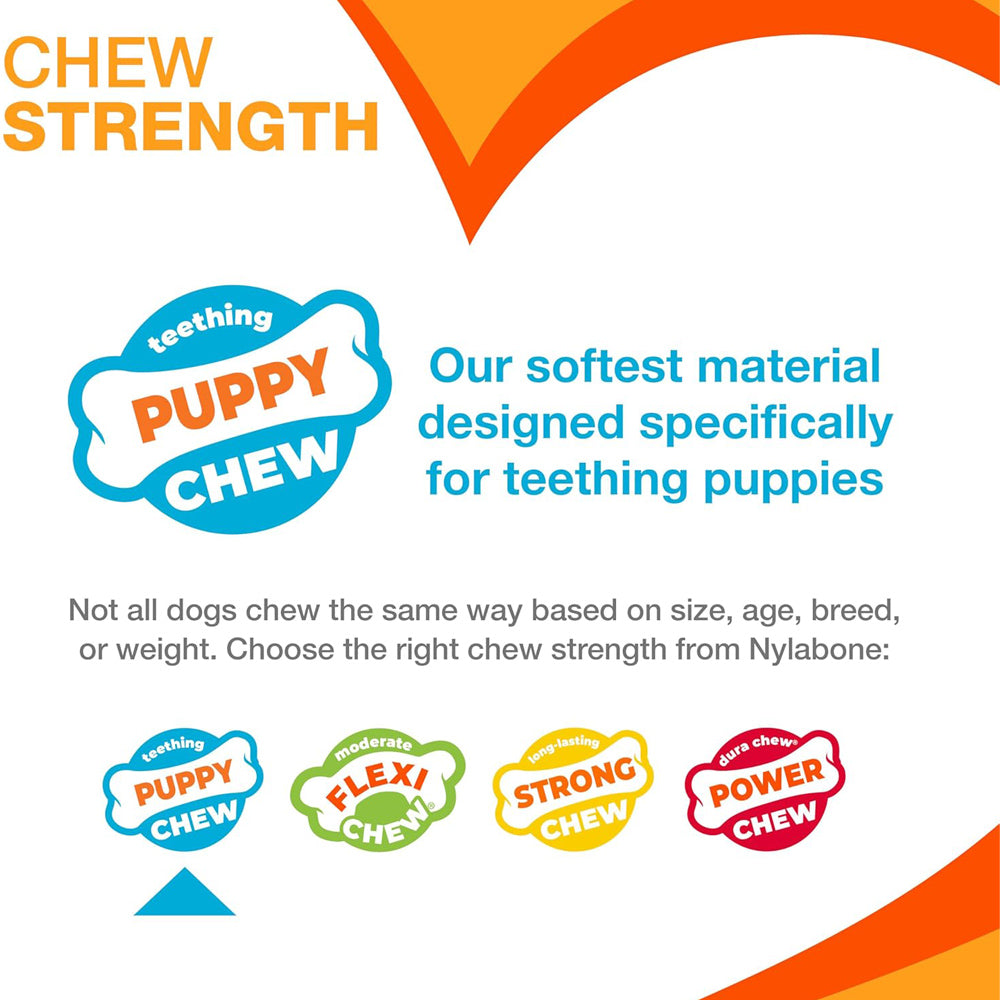 Nylabone Gentle Puppy Teething Chew Toy Keys, Bacon Flavour, Small