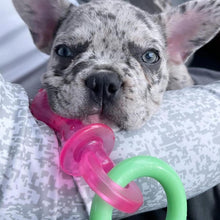 Load image into Gallery viewer, Nylabone Puppy Teething Chew Toy Pacifier, Bacon Flavour, Extra Small, Blue/Pink
