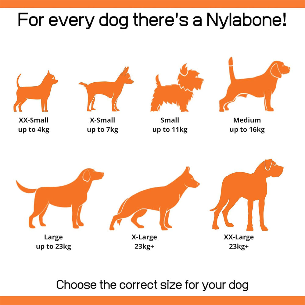 Nylabone Dura Chew Extreme Tough Dog Chew Toy Bones, Bacon & Chicken, Large