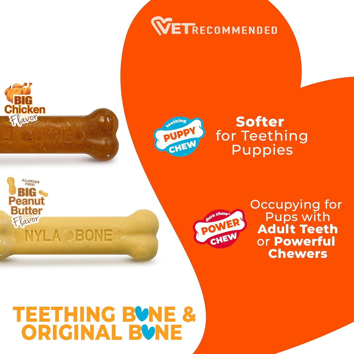 Nylabone Puppy Starter Kit Chicken & Peanut Butter Flavour