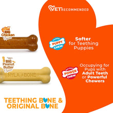 Load image into Gallery viewer, Nylabone Puppy Starter Kit Chicken &amp; Peanut Butter Flavour for Puppies
