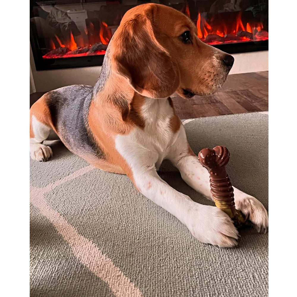 Nylabone Extreme Tough Dog Chew Toy Bone, Beef & Cheese Flavour, Medium
