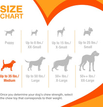 Load image into Gallery viewer, Nylabone Extreme Tough Dog Chew Toy Bone, Beef &amp; Cheese Flavour, Medium
