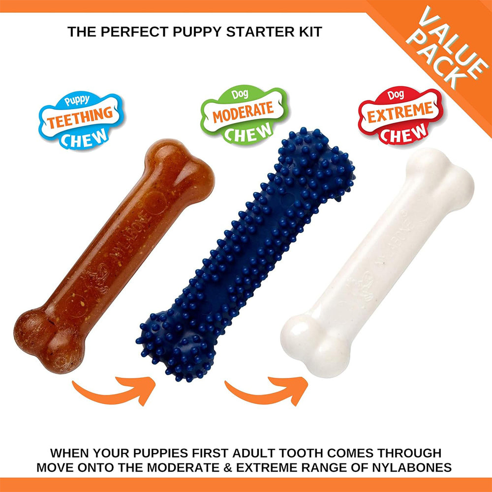Nylabone Puppy Starter Kit, Pack of 3 Chew Bones, Teething & Dental, Small