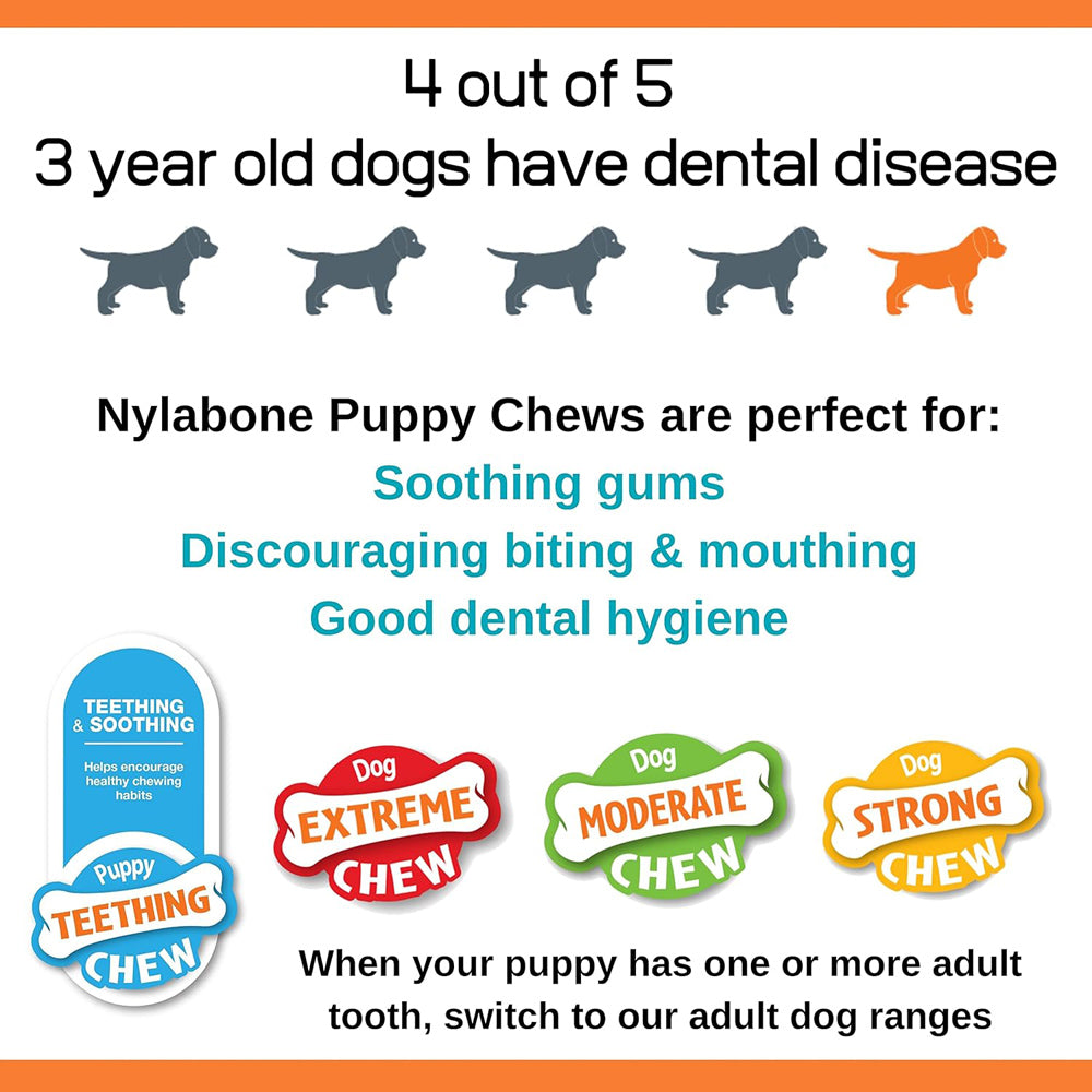 Nylabone Puppy Starter Kit, Pack of 3 Chew Bones, Teething & Dental, Small