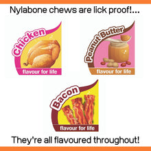 Load image into Gallery viewer, Nylabone Extreme Tough Dog Chew Bones – Triple Flavour Pack (Peanut Butter, Chicken &amp; Bacon), Small Dogs Up to 11 kg
