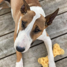 Load image into Gallery viewer, Nylabone Extreme Tough Cheese Bone Durable, Cheese-Flavoured Chew for Strong Chewers
