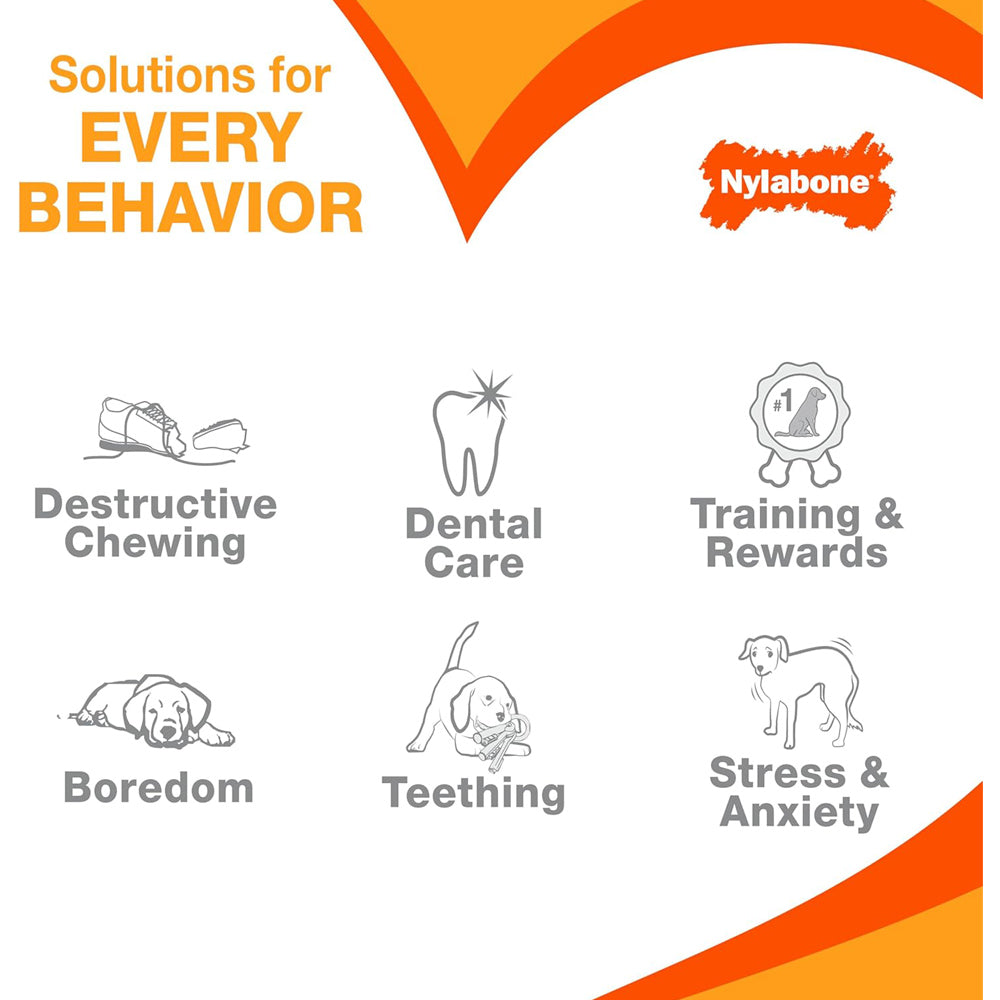 Nylabone Extreme Tough Cheese Bone Durable, Cheese-Flavoured Chew for Strong Chewers