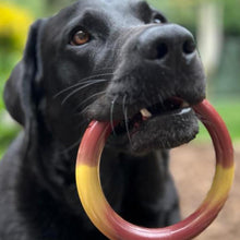 Load image into Gallery viewer, Nylabone Extreme Tough Dog Chew Ring Durable Bacon &amp; Cheeseburger Flavoured Chew for Strong Chewers
