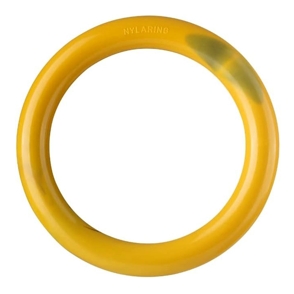 Nylabone Extreme Tough Dog Chew Ring Durable Bacon & Cheeseburger Flavoured Chew for Strong Chewers
