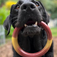 Load image into Gallery viewer, Nylabone Extreme Tough Dog Chew Ring Durable Bacon &amp; Cheeseburger Flavoured Chew for Strong Chewers
