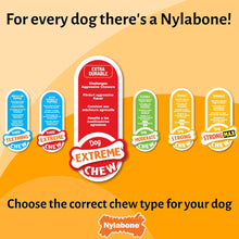 Load image into Gallery viewer, Nylabone Broccoli Dental Chew Dog Toy Large for Extreme Chewers Up To 23kg
