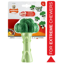 Load image into Gallery viewer, Nylabone Broccoli Dental Chew Dog Toy Large for Extreme Chewers Up To 23kg
