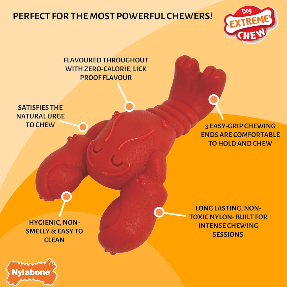 Nylabone Extreme Chewers Lobster Dog Chew Toy Filet Mignon Flavour