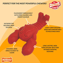 Load image into Gallery viewer, Nylabone Extreme Chewers Lobster Dog Chew Toy Filet Mignon Flavour Extra Large
