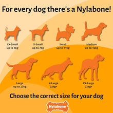 Load image into Gallery viewer, Nylabone Extreme Chewers Lobster Dog Chew Toy Filet Mignon Flavour Extra Large
