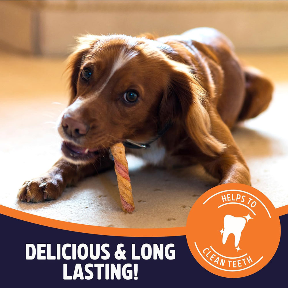 Rosewood Chewy Twist Long Lasting Dog Treat With Chicken 115g