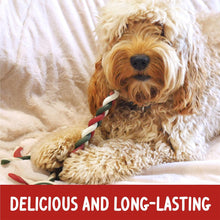 Load image into Gallery viewer, Rosewood Cupid &amp; Comet Bumper Meaty Gift Bag Treats For Dogs 280g
