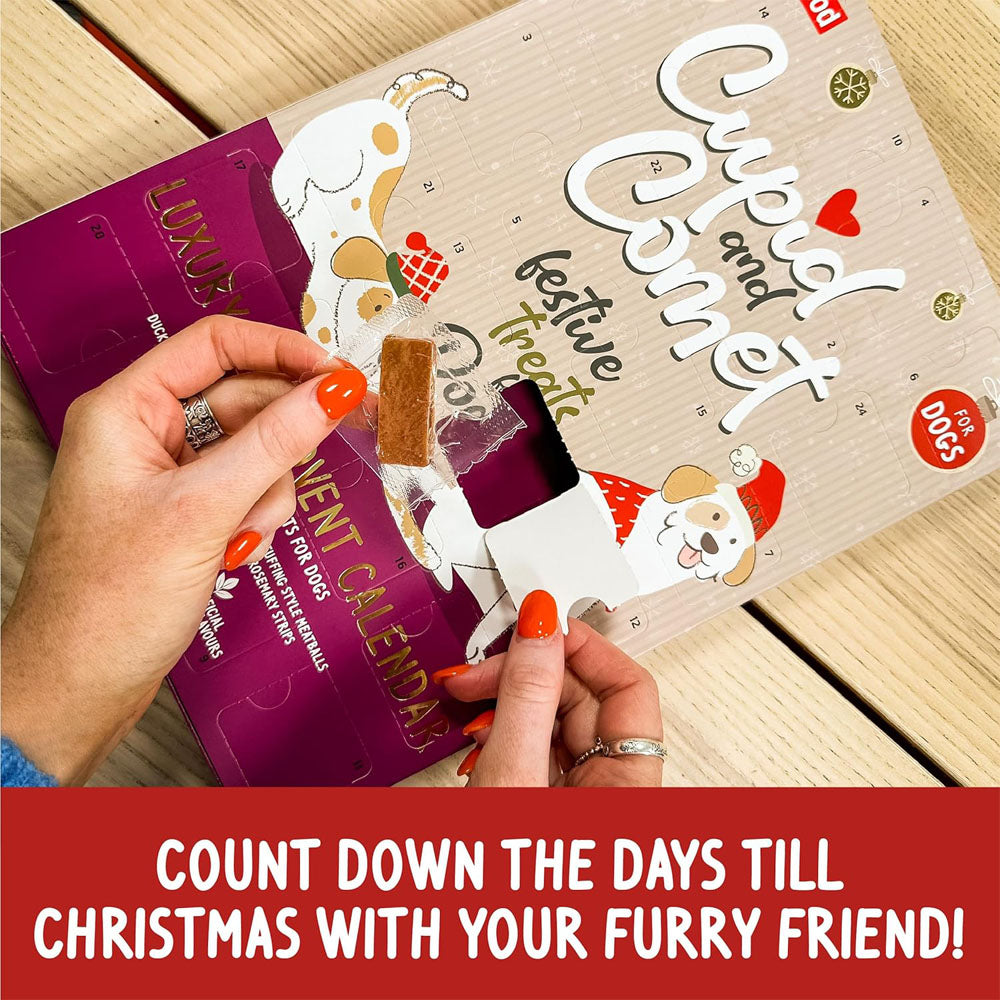 Rosewood Cupid & Comet Luxury Advent Calendar For Dogs & Cats
