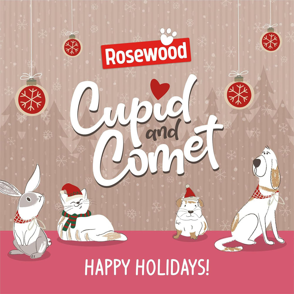 Rosewood Cupid & Comet Luxury Advent Calendar For Dogs & Cats