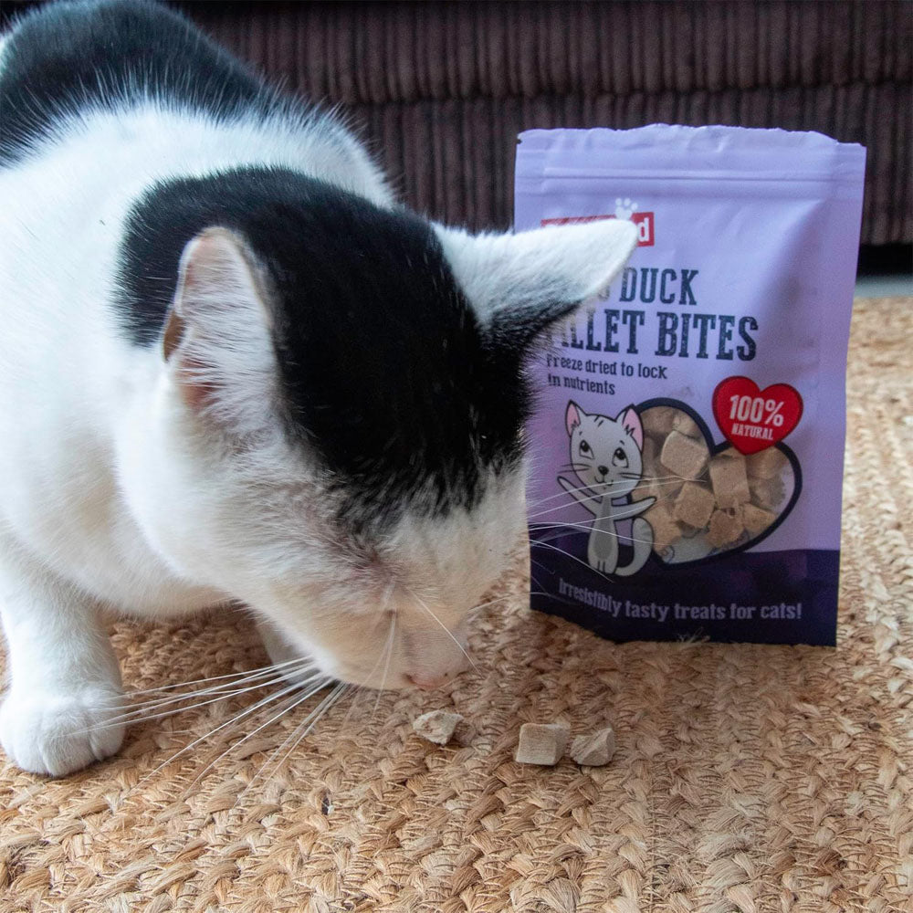 Rosewood Freeze Dried Natural Cat Treats 15g