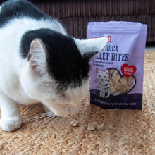 Load image into Gallery viewer, Rosewood Freeze-Dried Natural Cat Treats – Chicken or Duck (15g)
