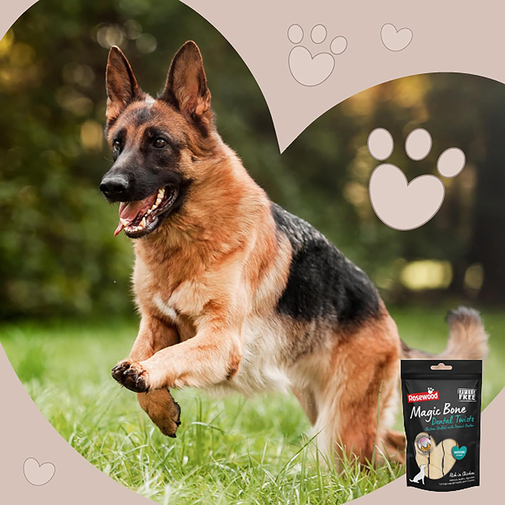 Rosewood Magic Bone Dental Twists Dog Treats With Chicken, Peanut Butter 120g