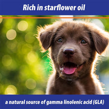 Load image into Gallery viewer, Exmarid Dry Skin Formula For Dogs &amp; Cats 150ml
